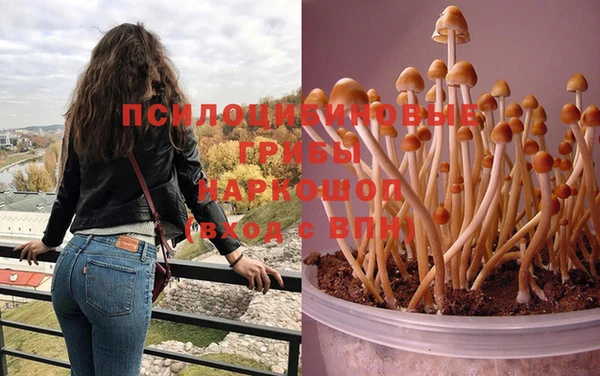 jwh Баксан